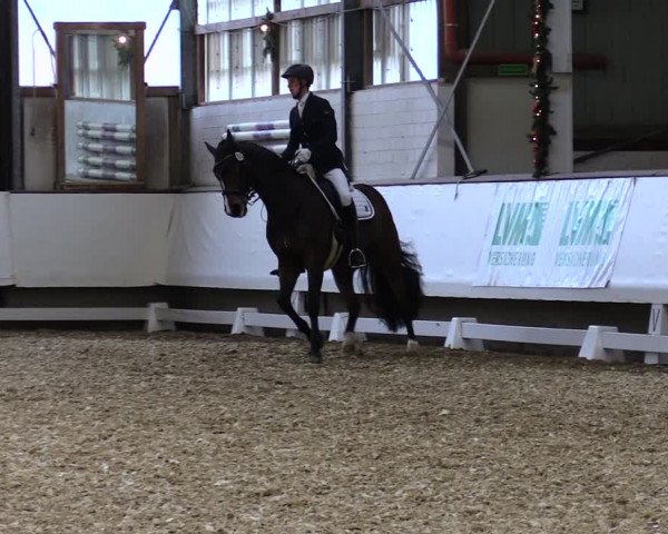 Reitturnier Alt Marl 2019