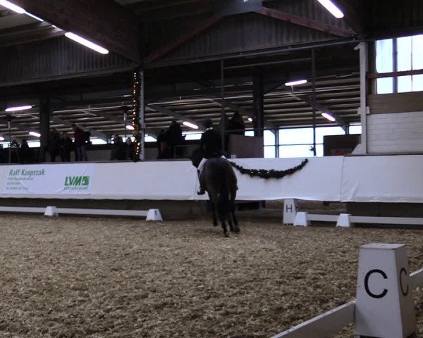 Reitturnier Alt Marl 2019