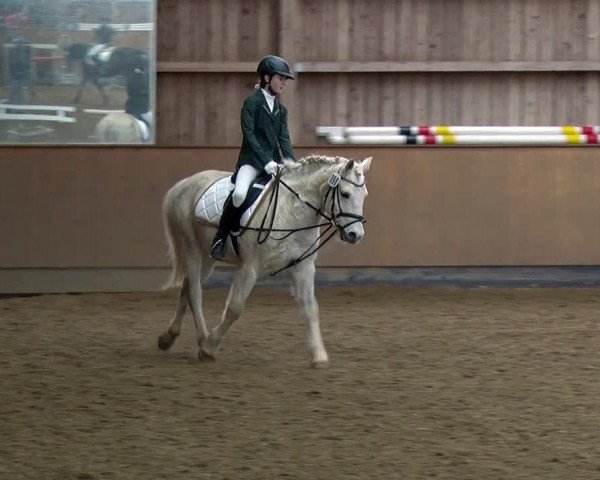 Reitturnier Jühnsdorf 2019
