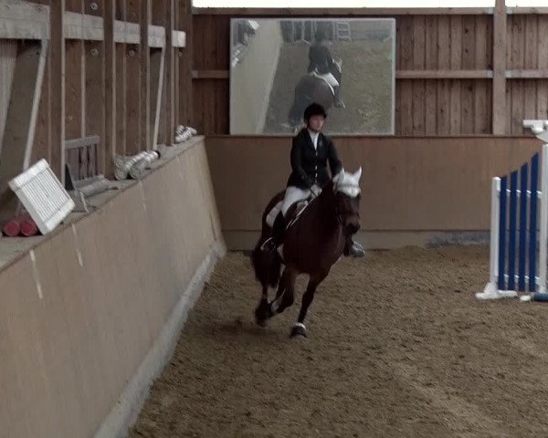 Reitturnier Jühnsdorf 2019