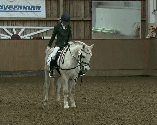 Reitturnier Jühnsdorf 2019