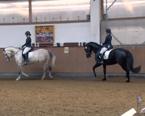Reitturnier Jühnsdorf 2019