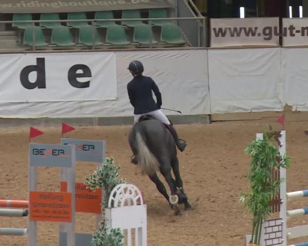 Reitturnier Kreuth/Opf. 2019