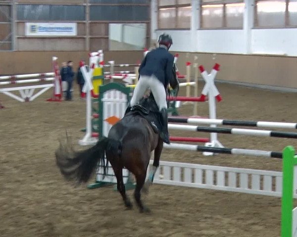 Reitturnier Jühnsdorf 2019