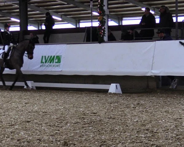 Reitturnier Alt Marl 2019