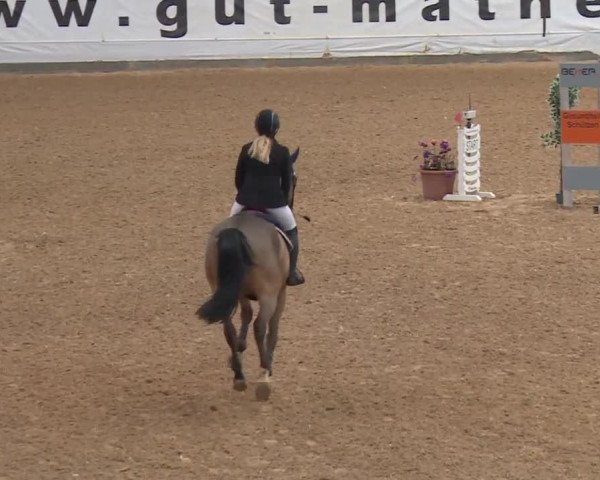 Reitturnier Kreuth/Opf. 2019