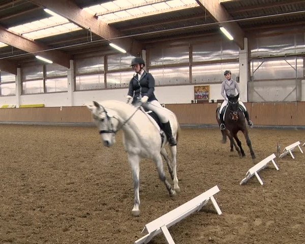 Reitturnier Jühnsdorf 2019