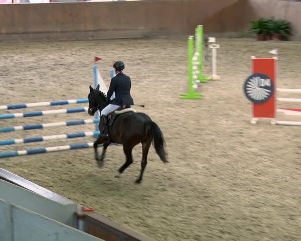 Reitturnier Prussendorf 2019