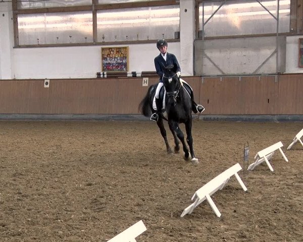 Reitturnier Jühnsdorf 2019