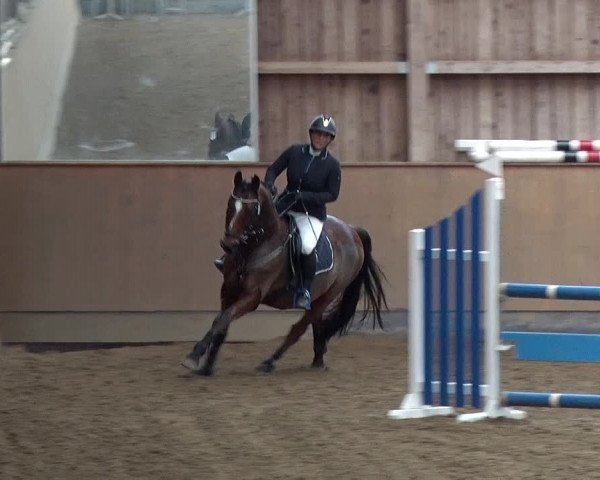 Reitturnier Jühnsdorf 2019