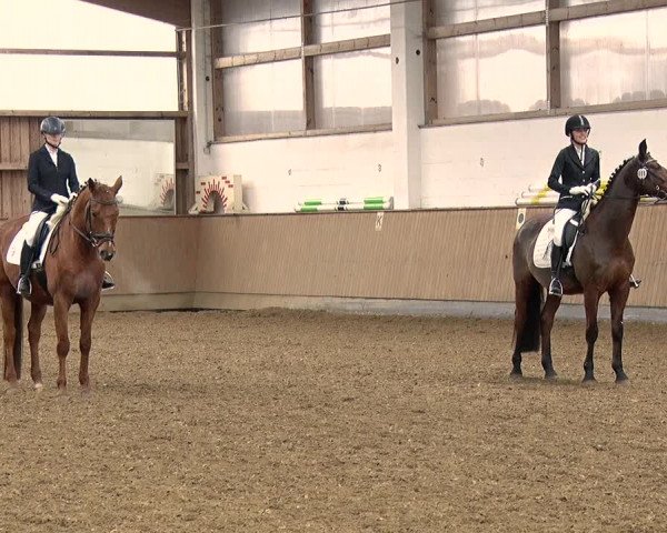 Reitturnier Jühnsdorf 2019