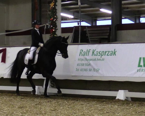 Reitturnier Alt Marl 2019