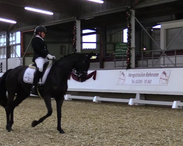 Reitturnier Alt Marl 2019