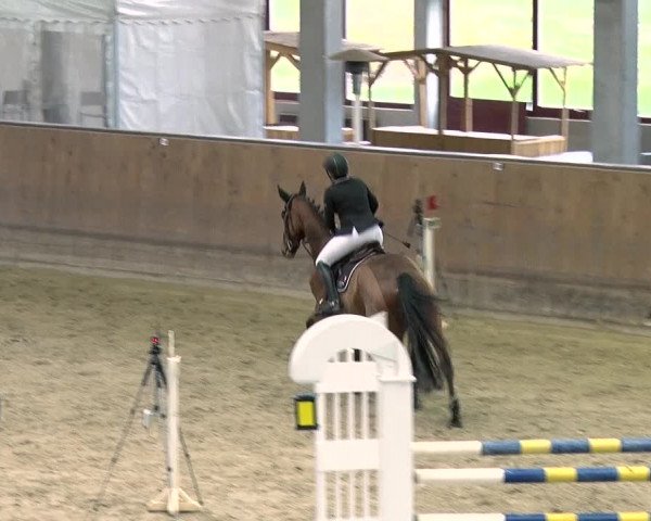 Reitturnier Prussendorf 2019