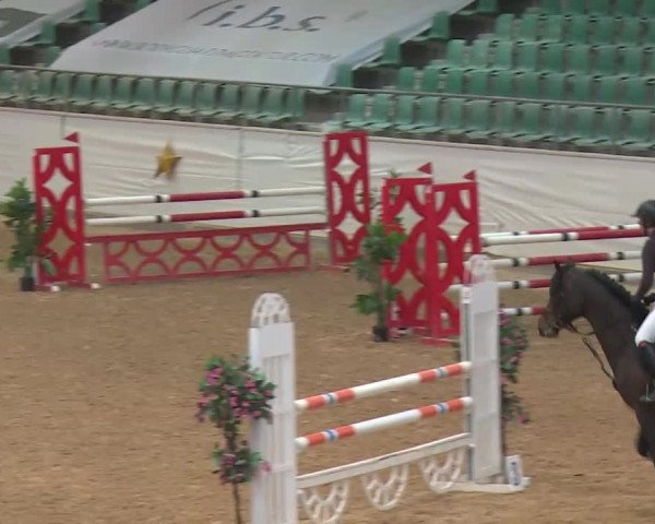 Reitturnier Kreuth/Opf. 2019