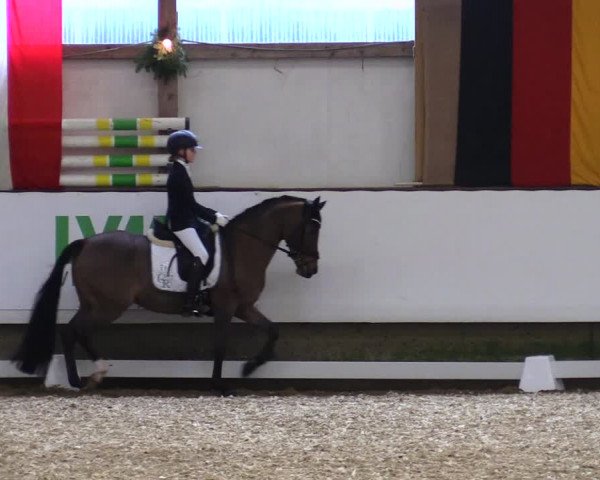 Reitturnier Alt Marl 2019