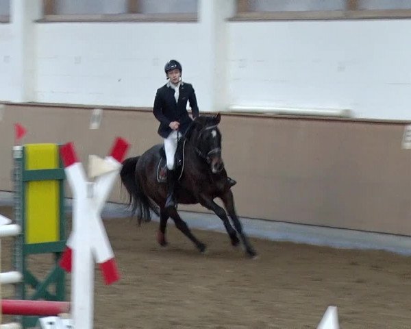 Reitturnier Jühnsdorf 2019