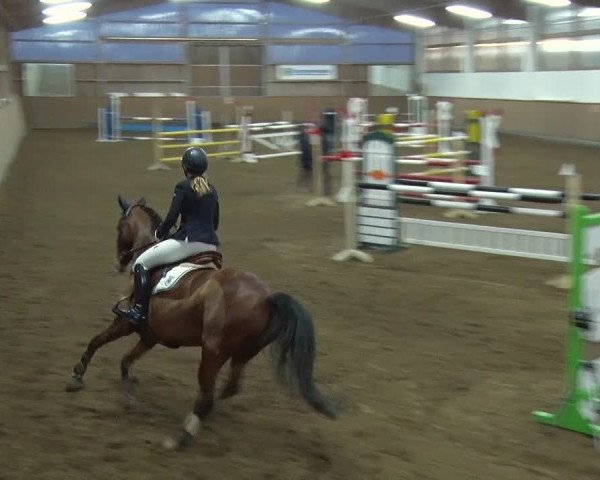 Reitturnier Jühnsdorf 2019