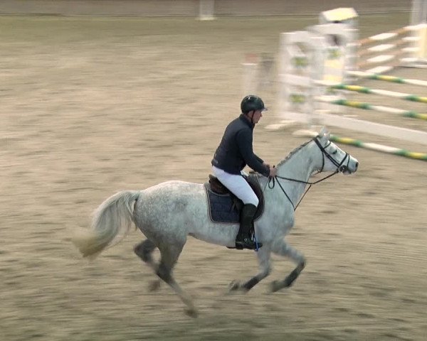 Reitturnier Prussendorf 2019