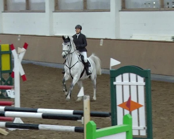 Reitturnier Jühnsdorf 2019