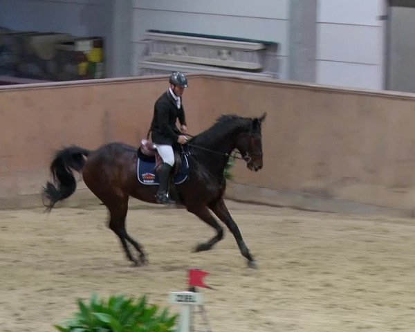 Reitturnier Prussendorf 2019