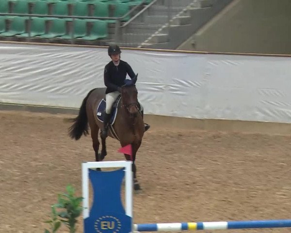 Reitturnier Kreuth/Opf. 2019