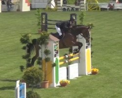 Springpferd Siec Kalinka (Westfale, 2011, von Lancer III)