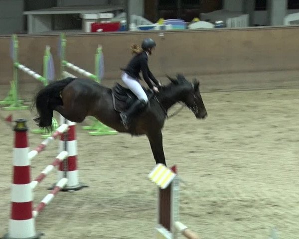 Reitturnier Prussendorf 2019