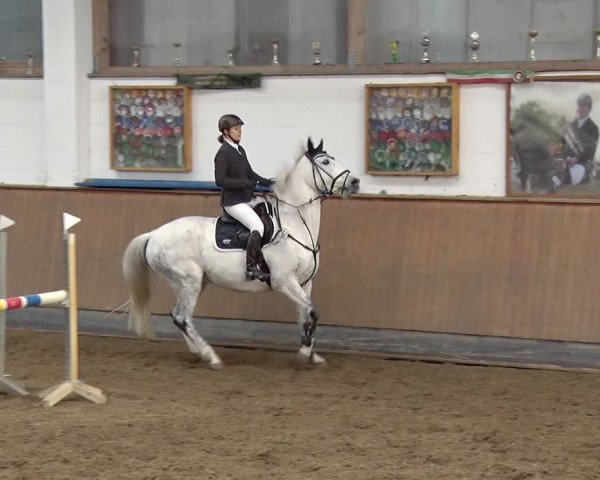 Reitturnier Jühnsdorf 2019