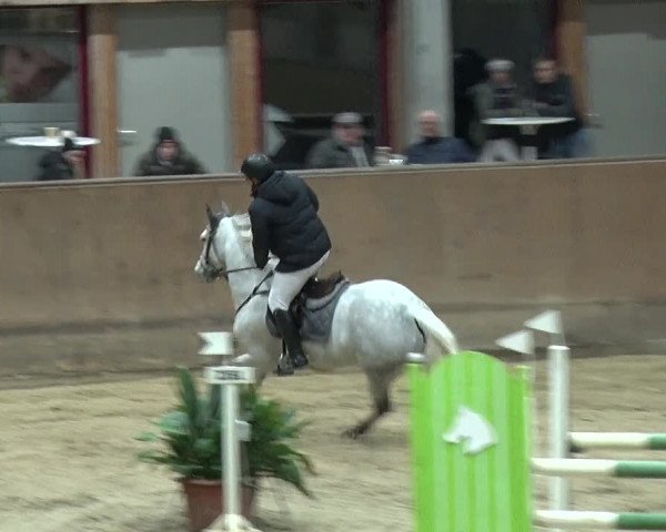 Reitturnier Prussendorf 2019