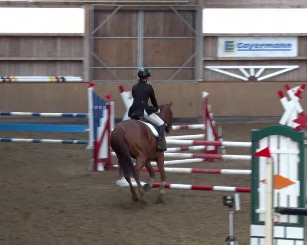 Reitturnier Jühnsdorf 2019