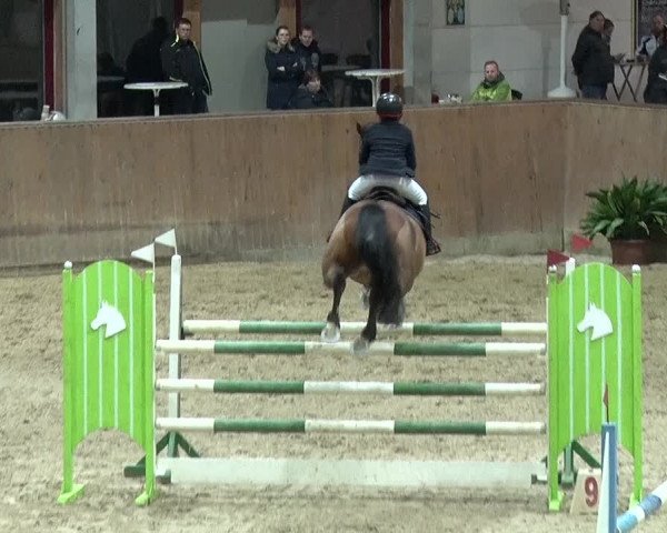 Reitturnier Prussendorf 2019