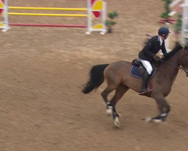 Reitturnier Kreuth/Opf. 2019