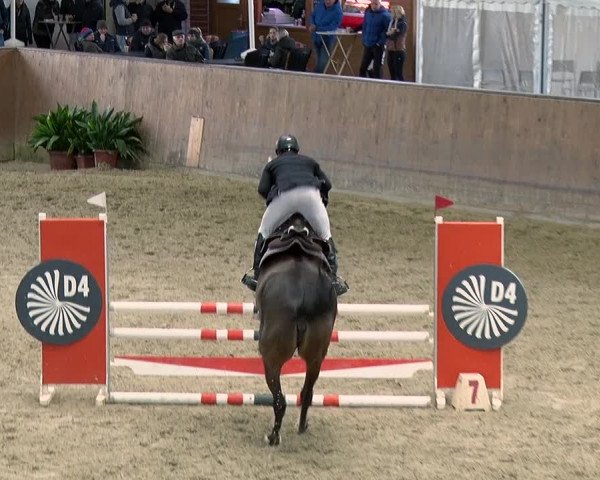 Reitturnier Prussendorf 2019