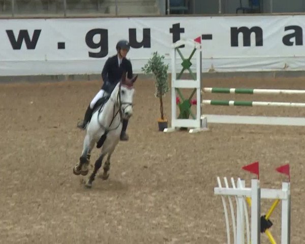 Reitturnier Kreuth/Opf. 2019