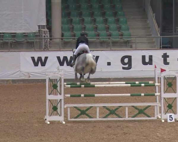 Reitturnier Kreuth/Opf. 2019