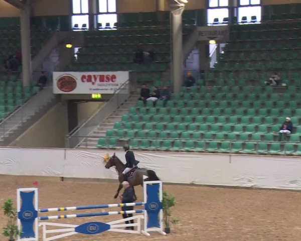 Reitturnier Kreuth/Opf. 2019