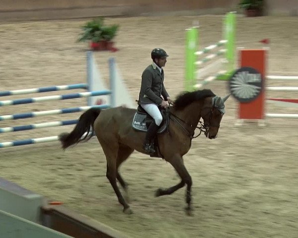 Reitturnier Prussendorf 2019