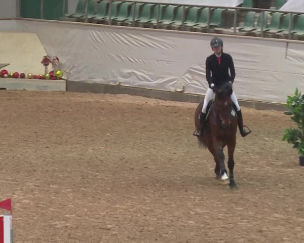 Reitturnier Kreuth/Opf. 2019