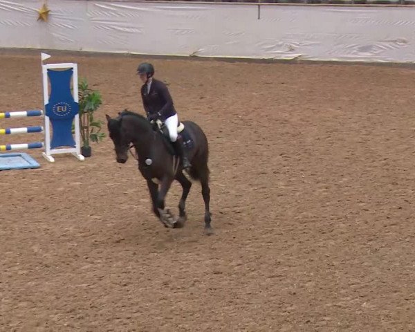 Reitturnier Kreuth/Opf. 2019
