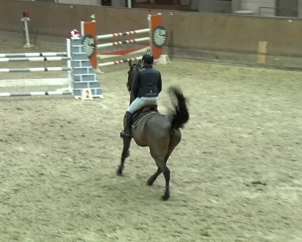 Reitturnier Prussendorf 2019