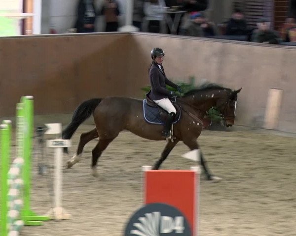 Reitturnier Prussendorf 2019