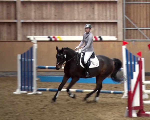 Reitturnier Jühnsdorf 2019