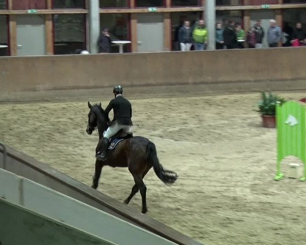 Reitturnier Prussendorf 2019