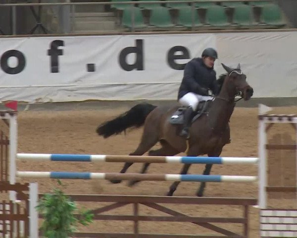 Reitturnier Kreuth/Opf. 2019