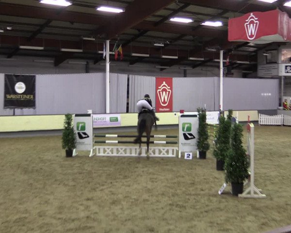 Reitturnier Münster-Handorf 2019