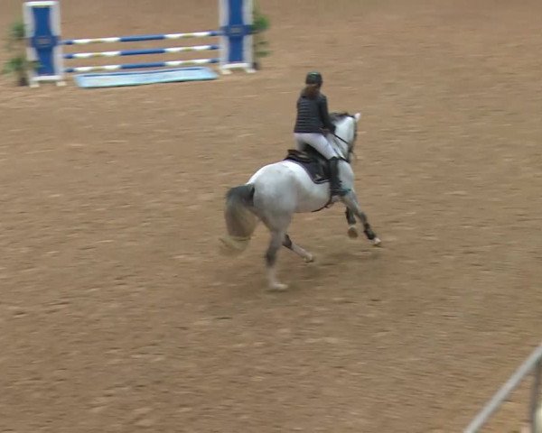 Reitturnier Kreuth/Opf. 2019