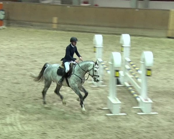 Reitturnier Prussendorf 2019