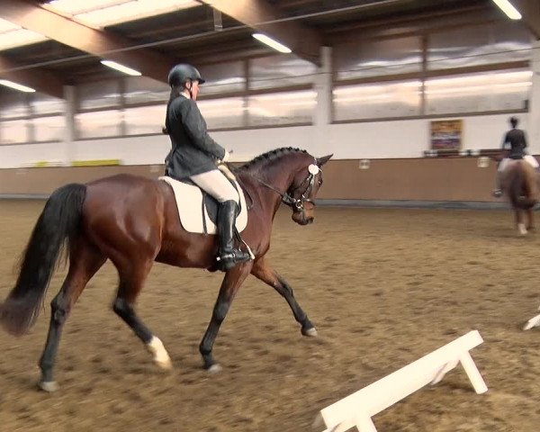Reitturnier Jühnsdorf 2019