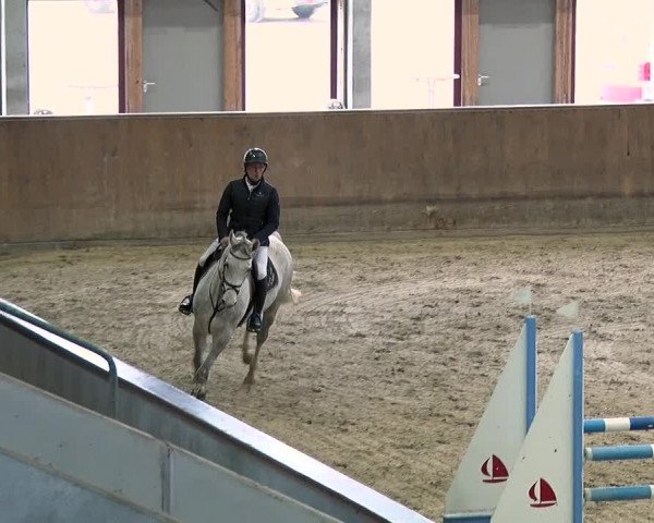 Reitturnier Prussendorf 2019